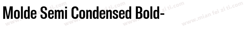 Molde Semi Condensed Bold字体转换